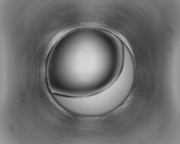 X0000114521389200910191145