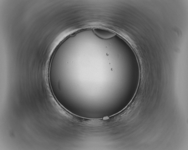 X0000114521392200910191145