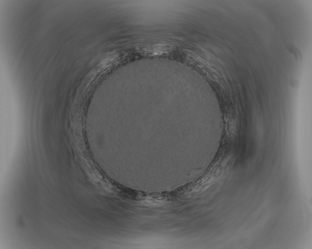 X0000114521393200910191144