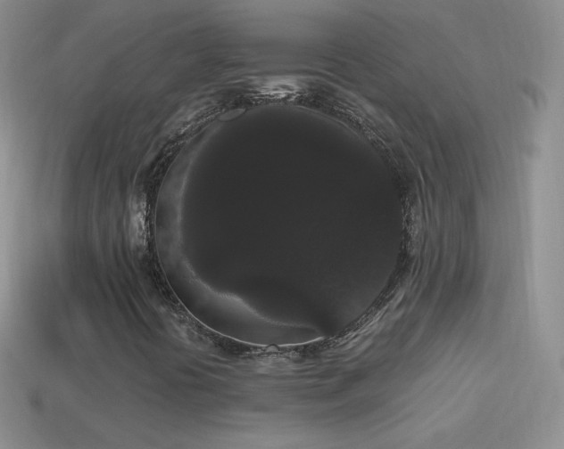 X0000114521394200910191144