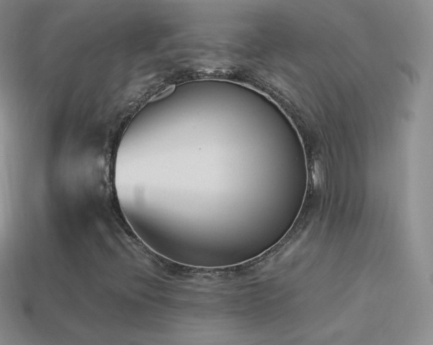 X0000114521396200910191145