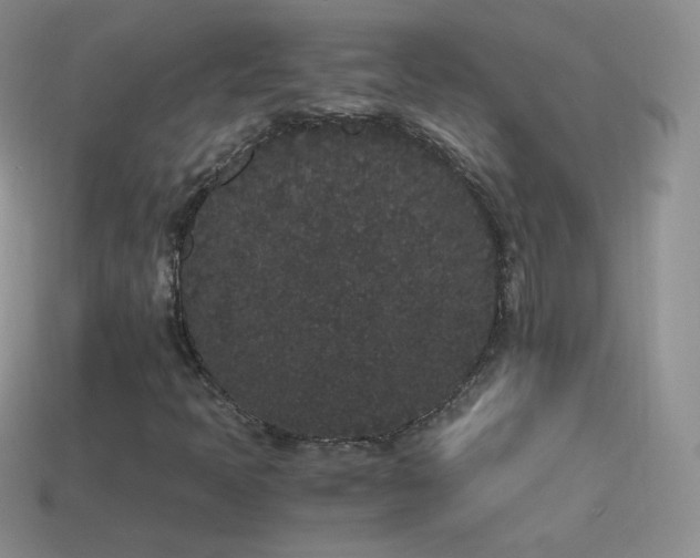 X0000114521397200910191145