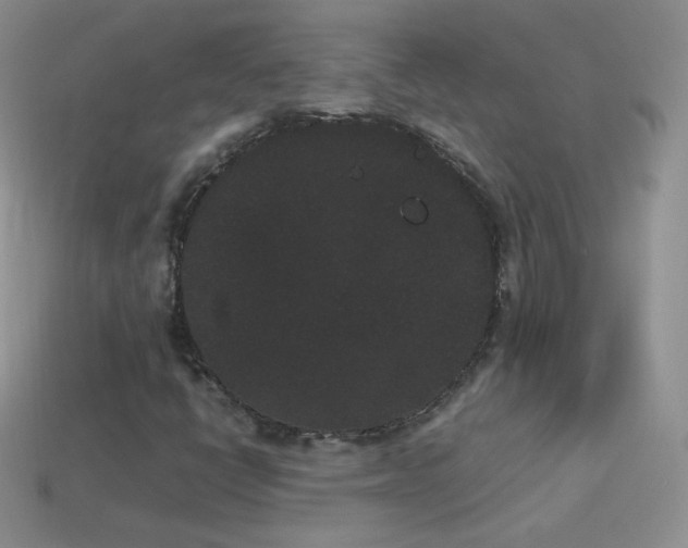 X0000114521398200910191145