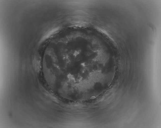 X0000114521399200910191145