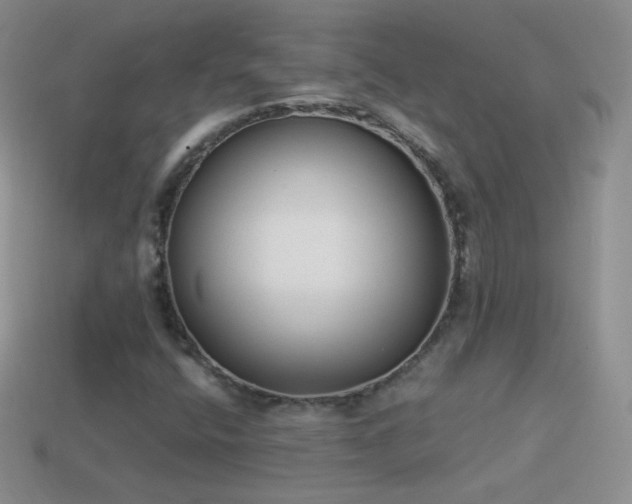 X0000114521400200910191145