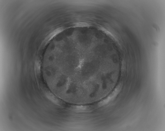 X0000114521401200910191145