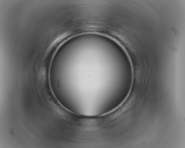X0000114521402200910191145