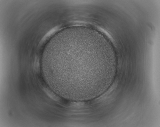 X0000114521403200910191145