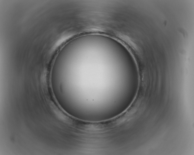 X0000114521404200910191145