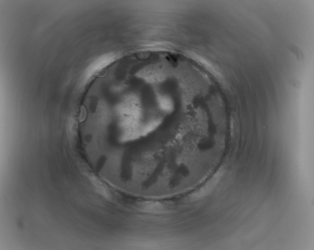 X0000114521405200910191145