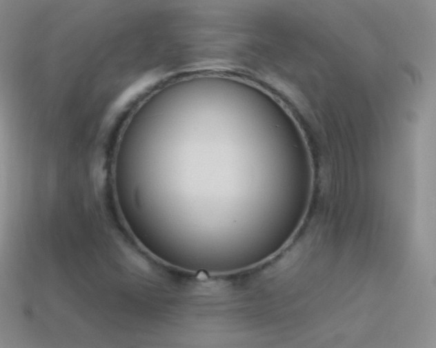 X0000114521406200910191145