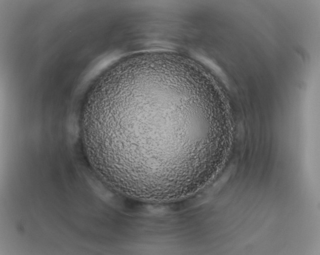 X0000114521407200910191145