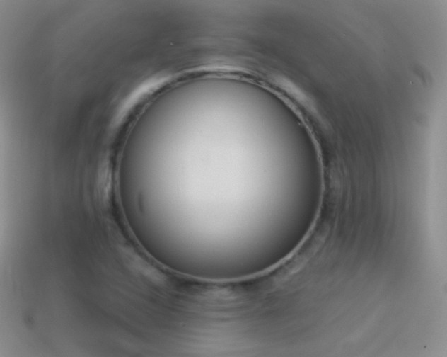 X0000114521408200910191145