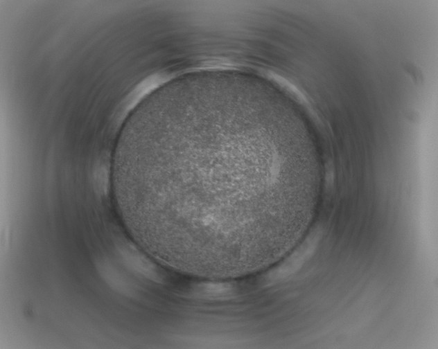 X0000114521409200910191145