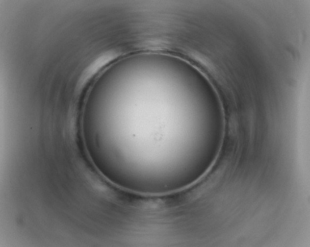 X0000114521410200910191145