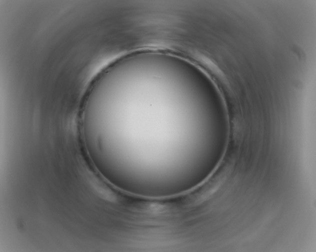X0000114521412200910191145