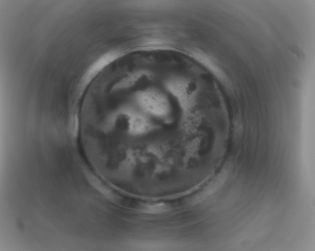X0000114521413200910191145