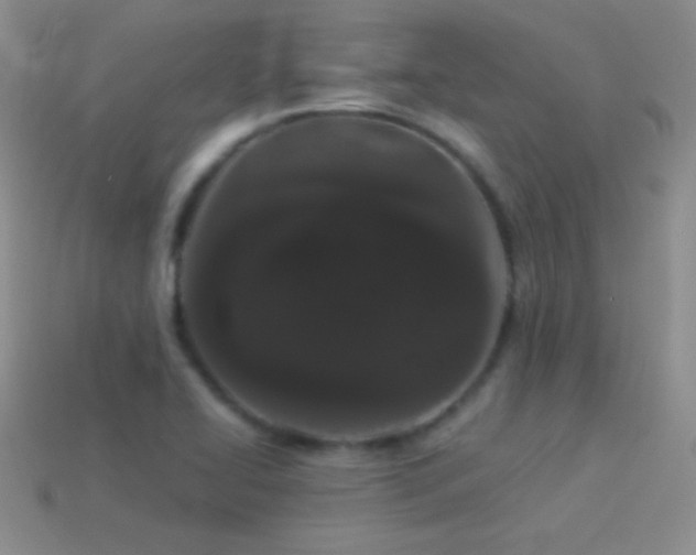 X0000114521414200910191145