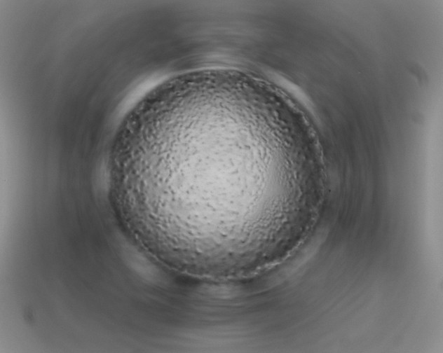 X0000114521415200910191145
