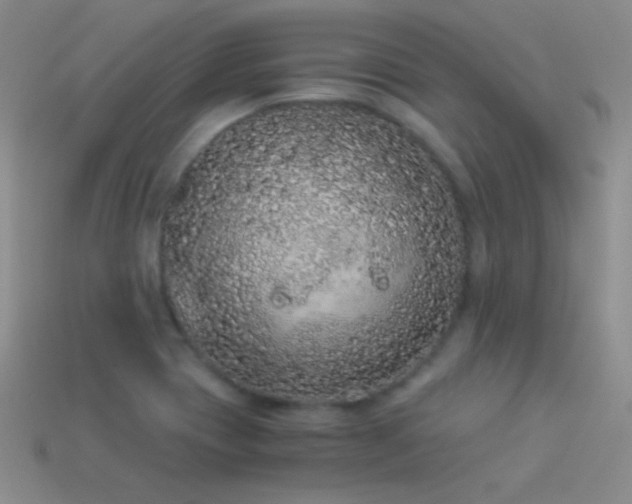 X0000114521417200910191145