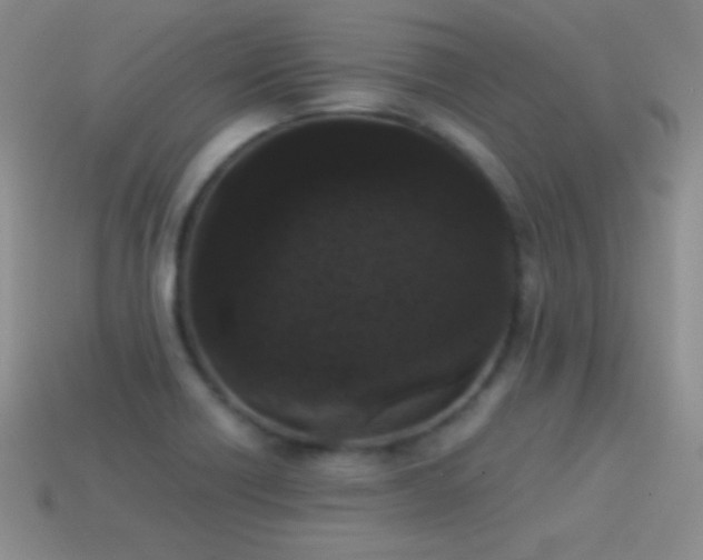 X0000114521418200910191145