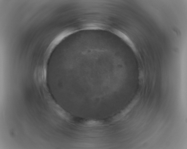 X0000114521419200910191145