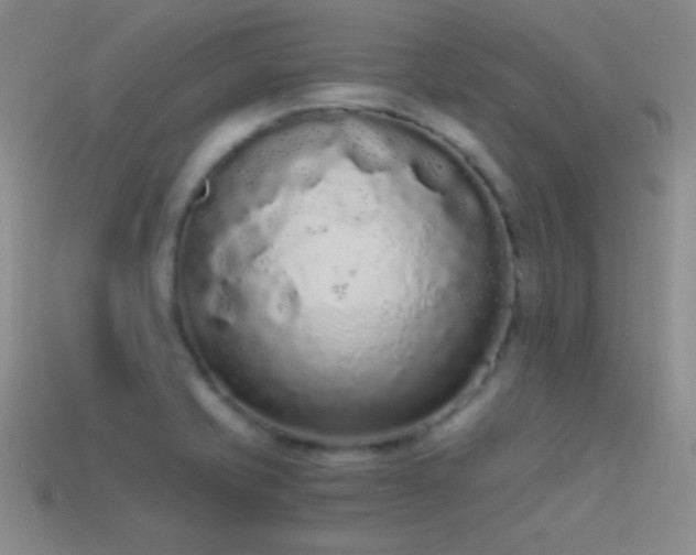 X0000114521421200910191145