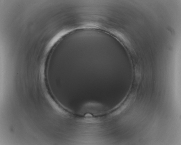 X0000114521422200910191145