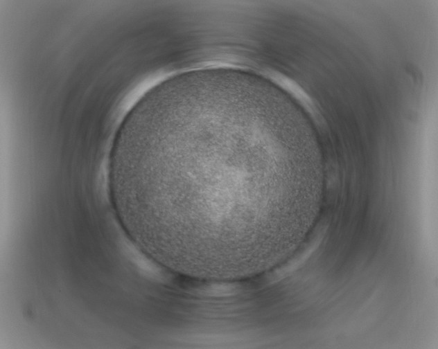 X0000114521423200910191145