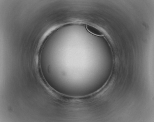 X0000114521424200910191145