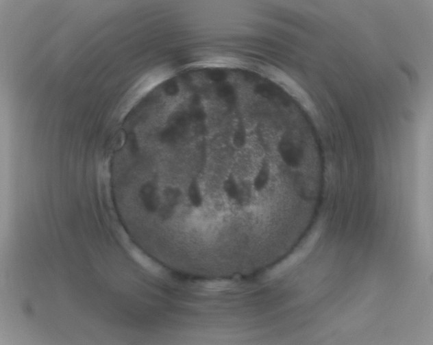X0000114521425200910191145