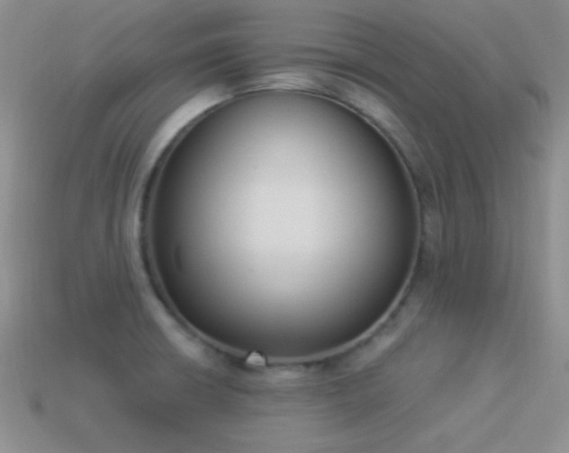 X0000114521426200910191145