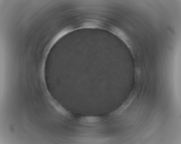 X0000114521427200910191145