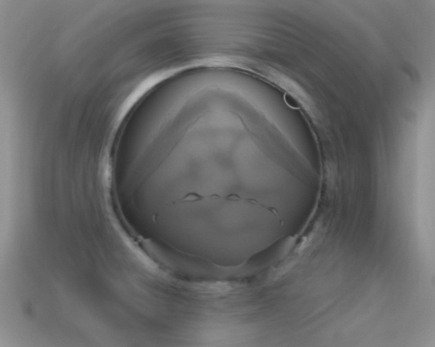 X0000114521428200910191145