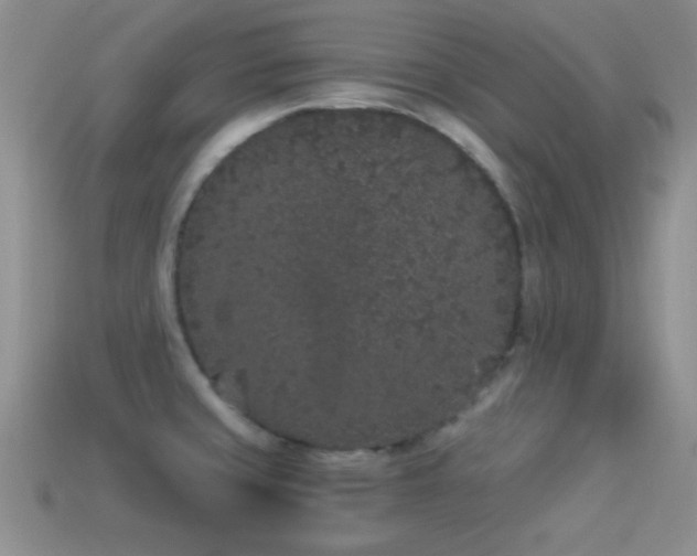 X0000114521429200910191145