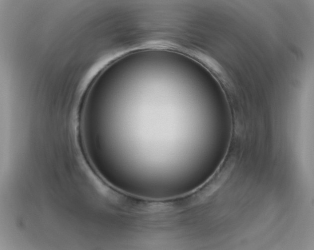 X0000114521430200910191145