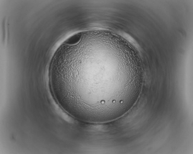 X0000114521431200910191145