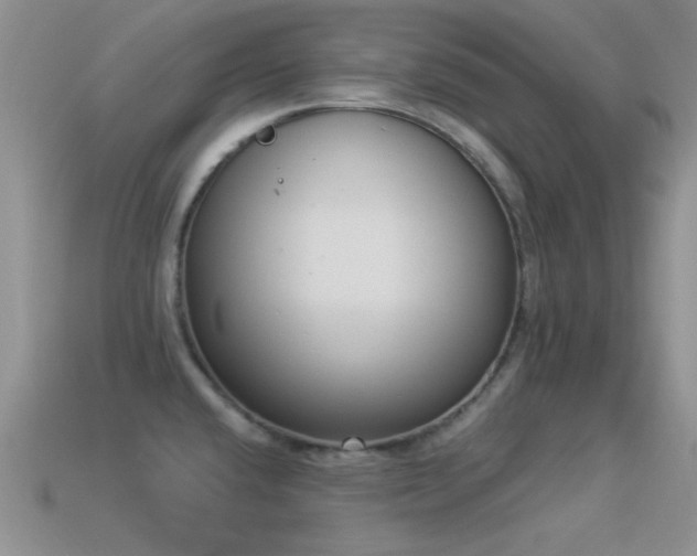 X0000114521432200910191145