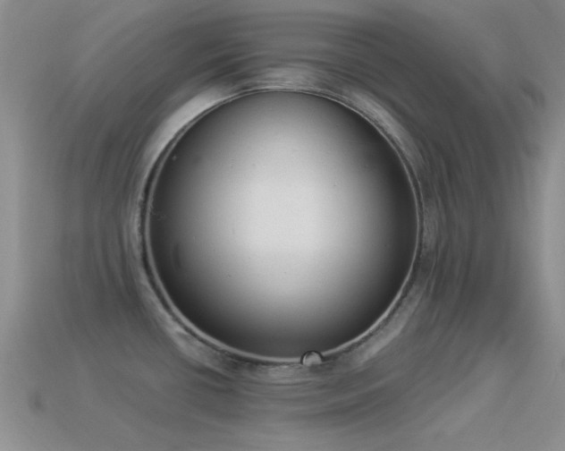 X0000114521434200910191145