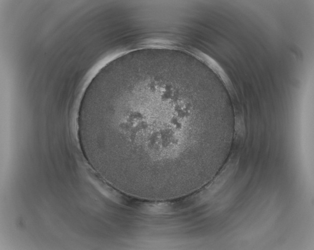 X0000114521435200910191145