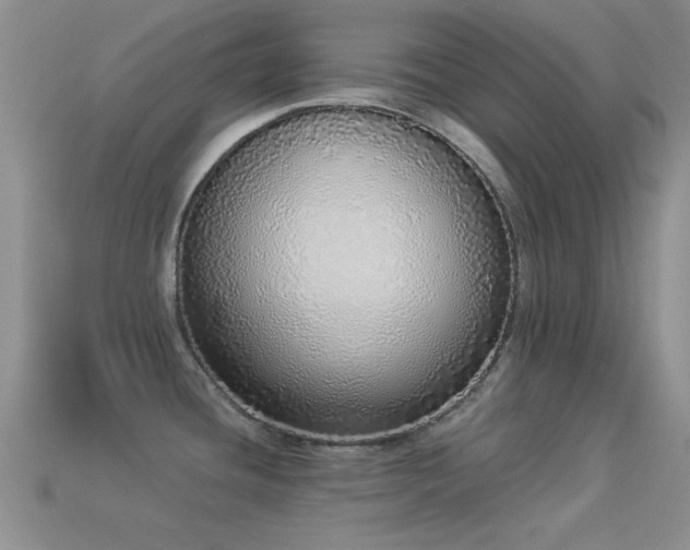 X0000114521436200910191145