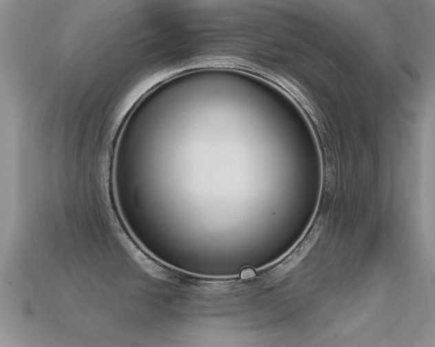 X0000114521438200910191145