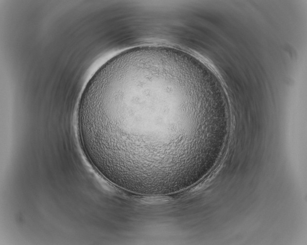 X0000114521440200910191145
