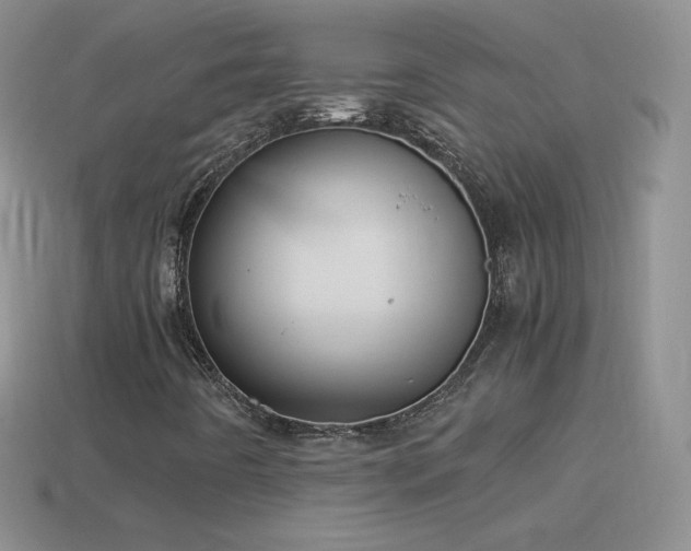 X0000114521442200910191144