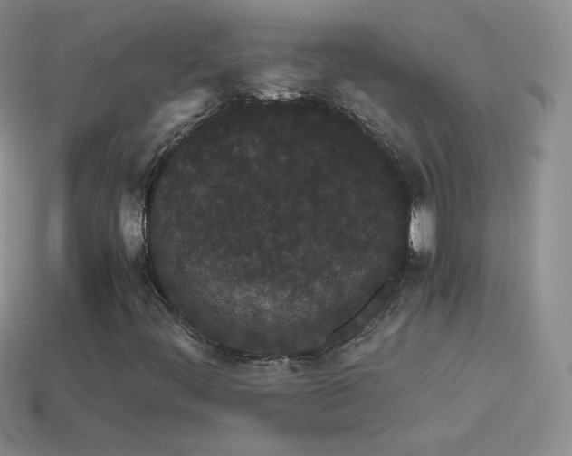 X0000114521444200910191144