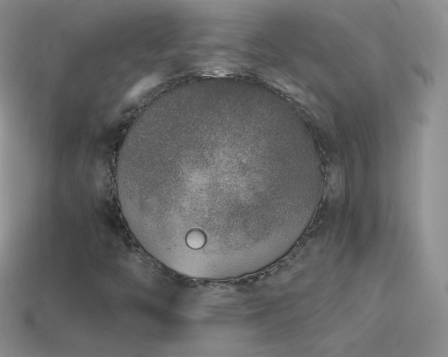 X0000114521446200910191144