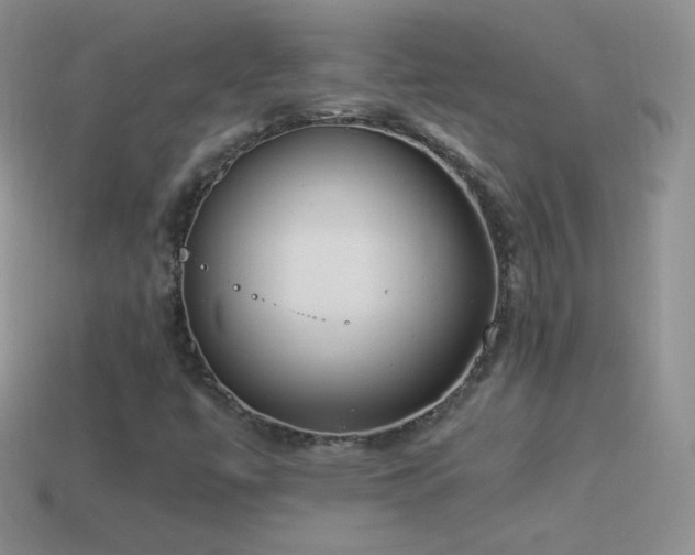 X0000114521447200910191144