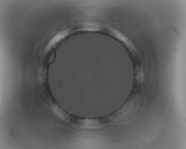 X0000114521448200910191144