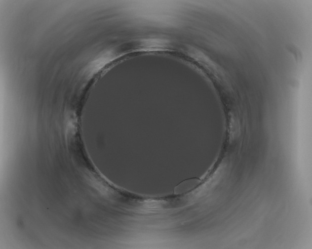 X0000114521449200910191144