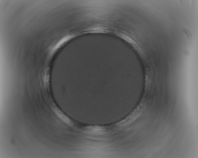X0000114521450200910191144